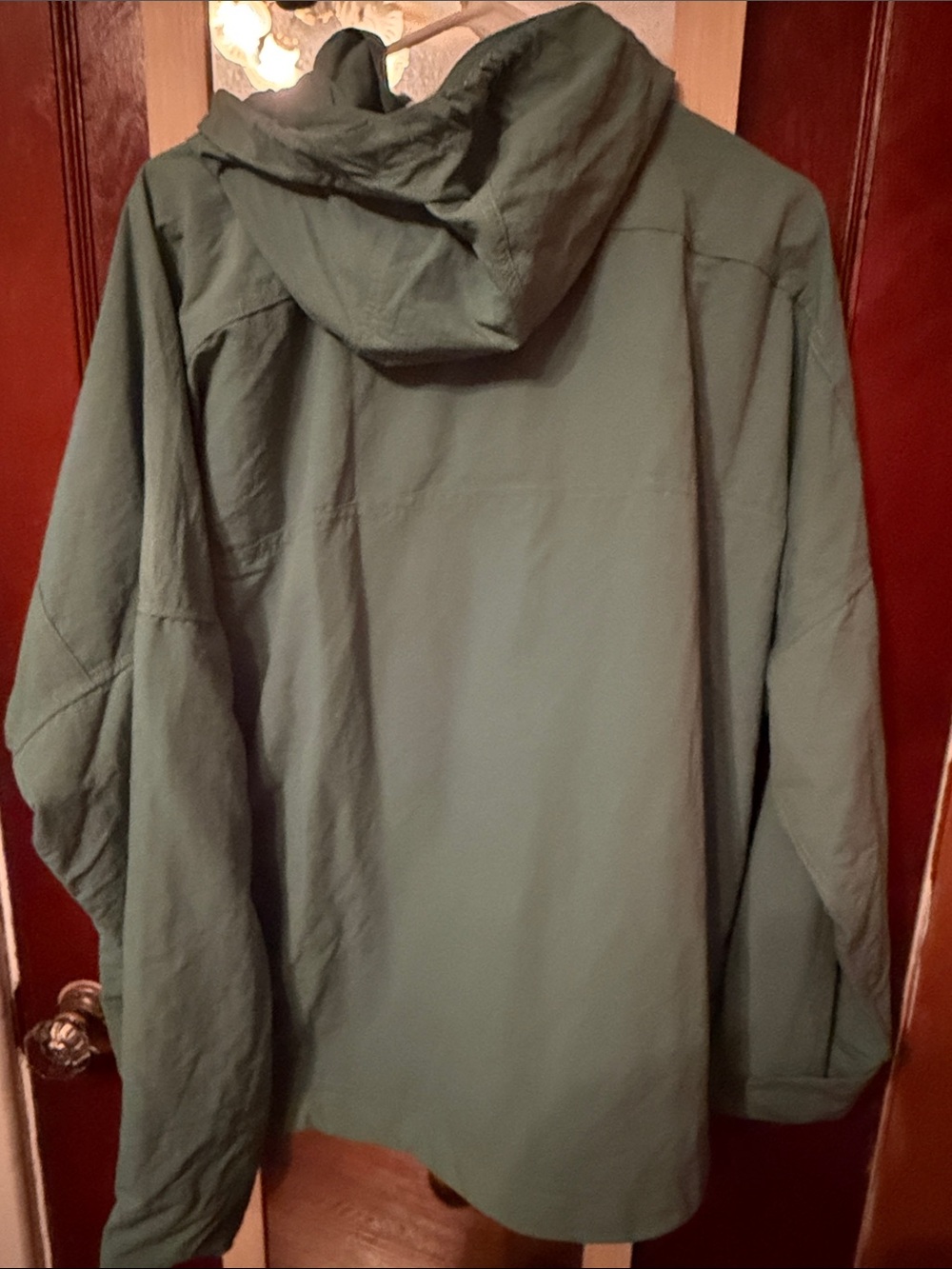 NWT Patagonia Women's Skysail Jacket Green - Picture 6 of 6